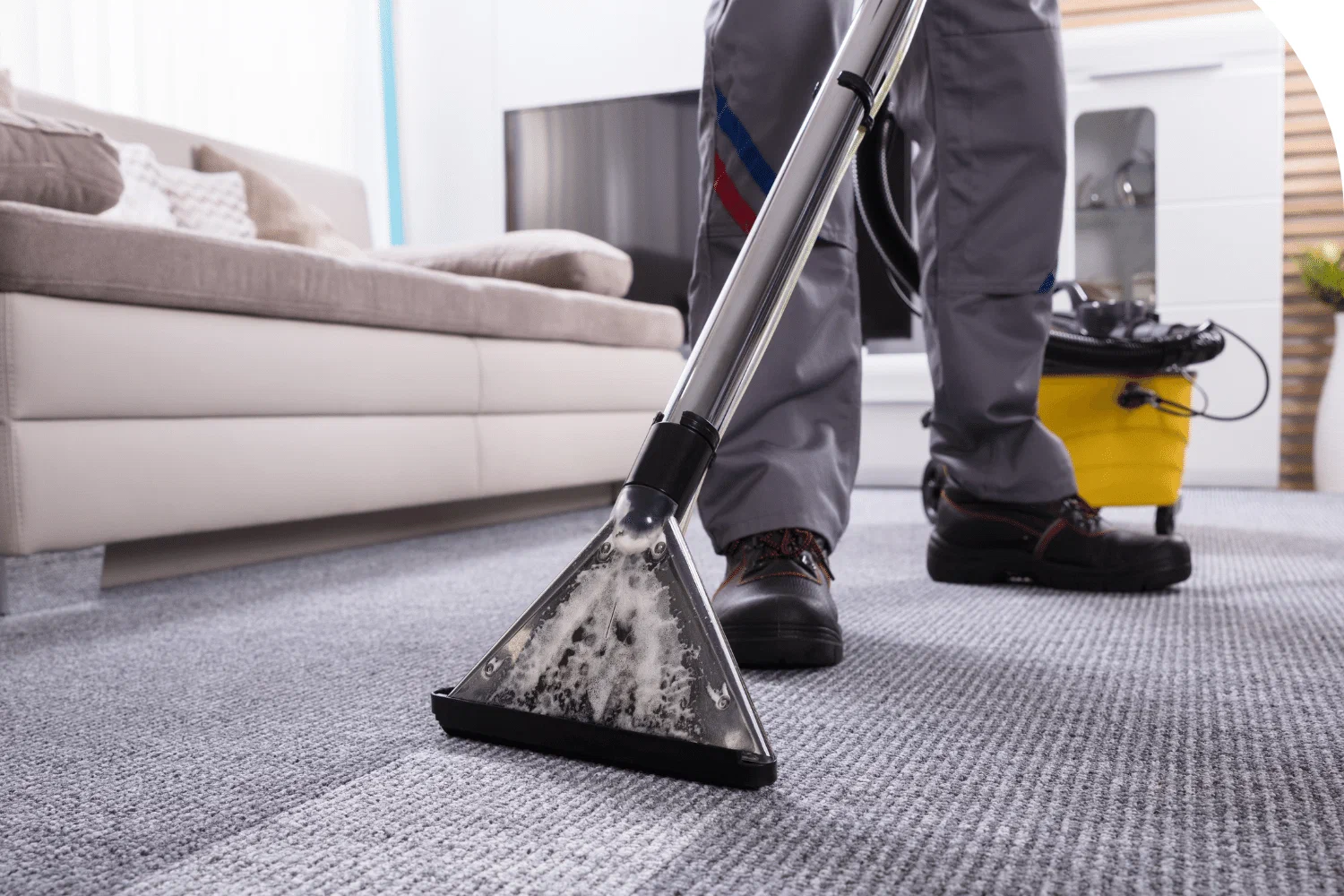 Carpet cleaning service
