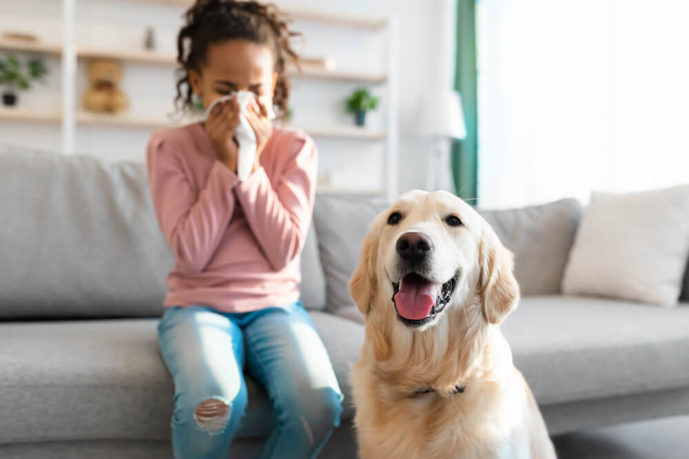 Why Pet Odors Keep Coming Back