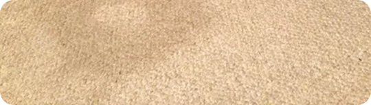 Why Other Companies Fall Short