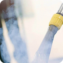 Residential Carpet Cleaning