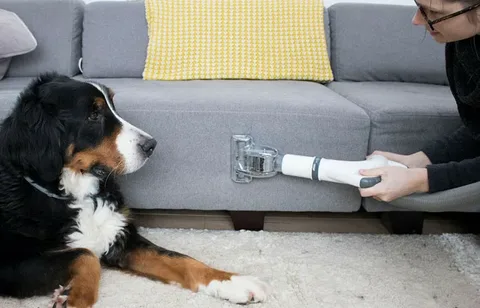 The Impact on Your Home