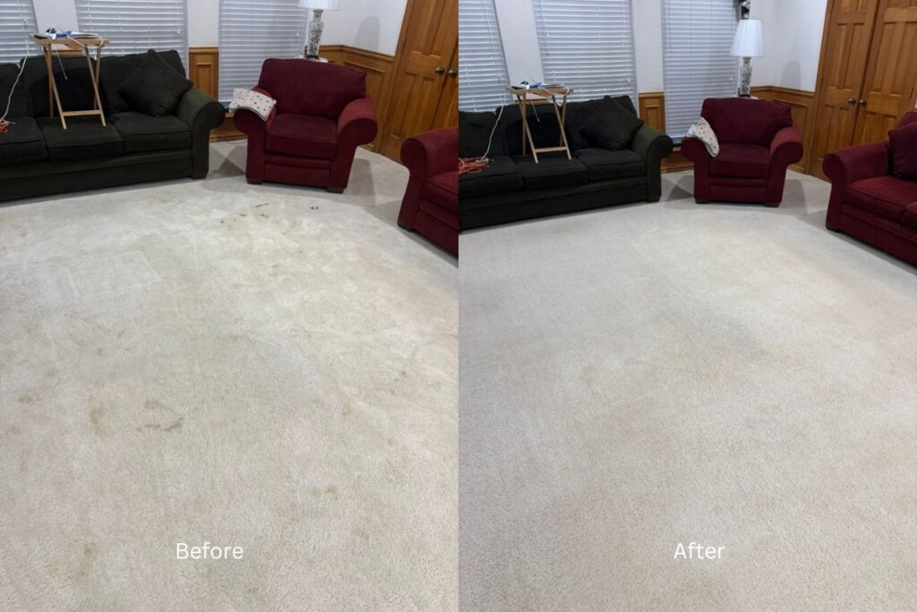 Carpet cleaning and pet stain removal results in Denton TX
