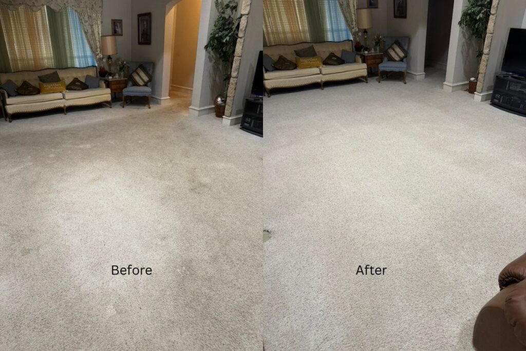 Carpet cleaning and pet stain removal results in Haslet TX