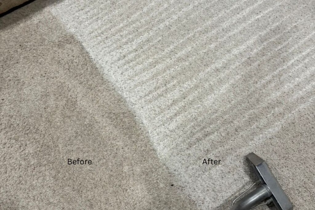 Carpet cleaning and pet stain removal results in Haslet TX