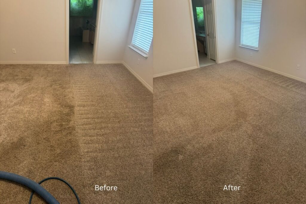 Carpet cleaning and pet stain removal results in Arlington TX