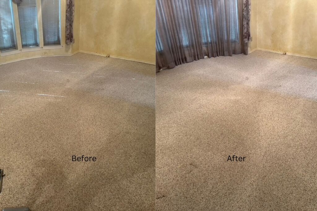 Carpet cleaning results in Fort Worth TX